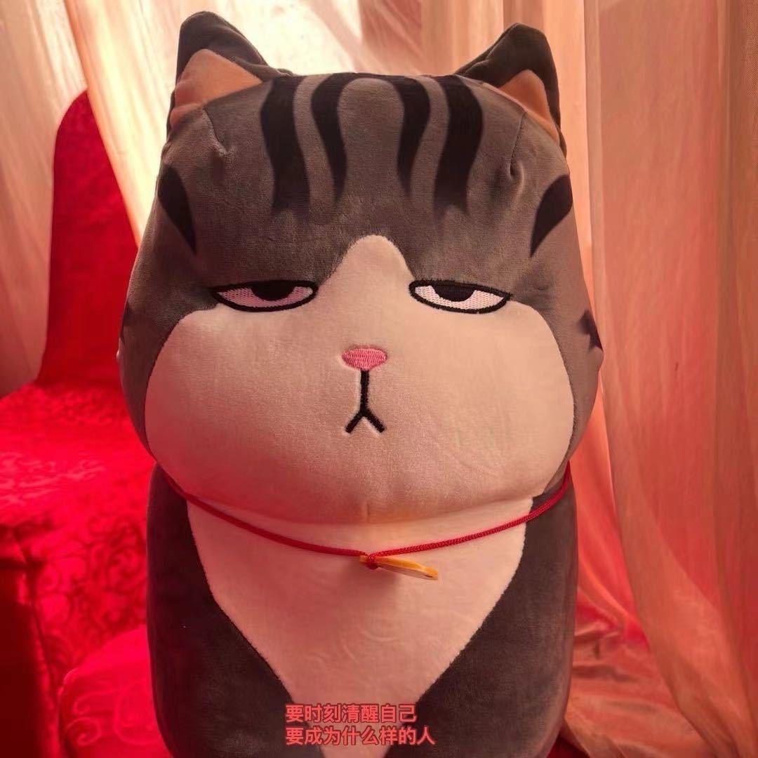 嘉兴钟云涛不懂车