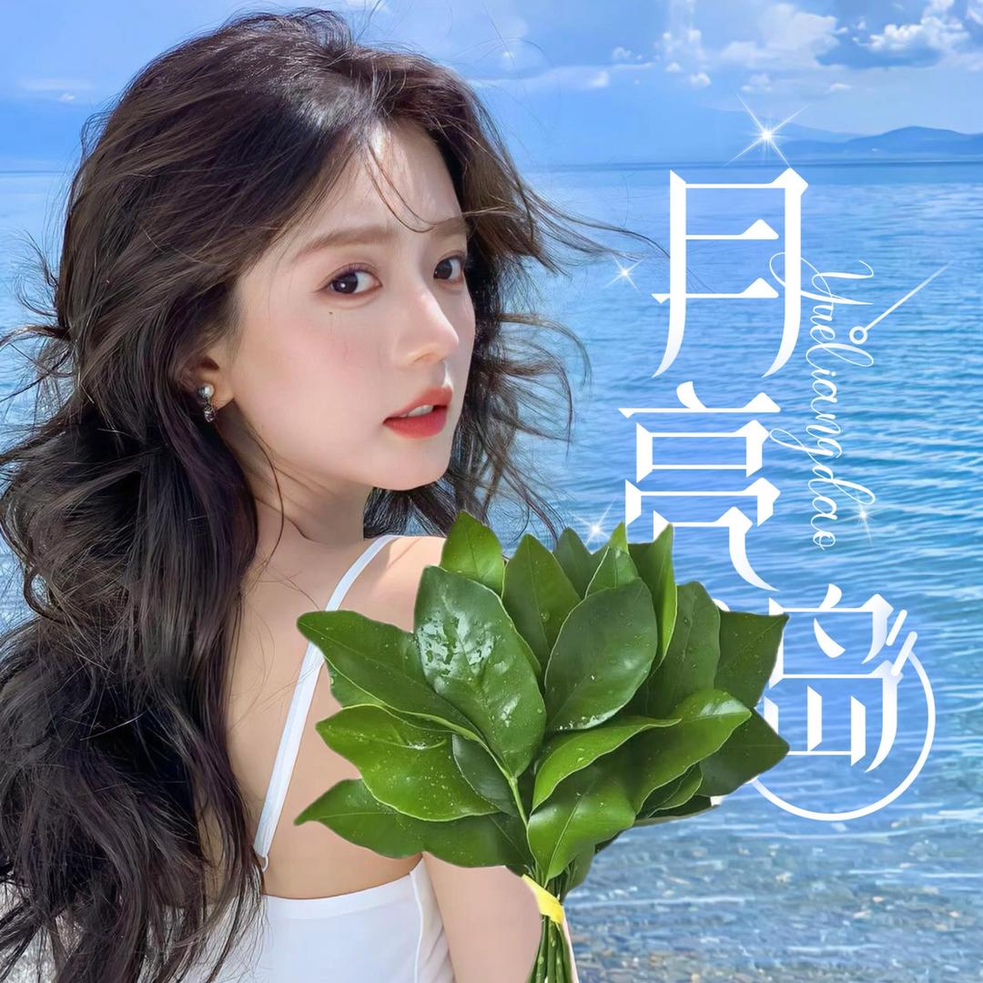 月亮岛🍃新厅开业