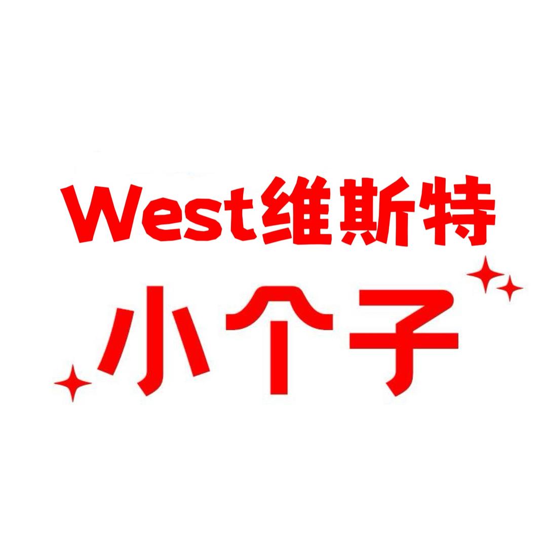维斯优品女装店