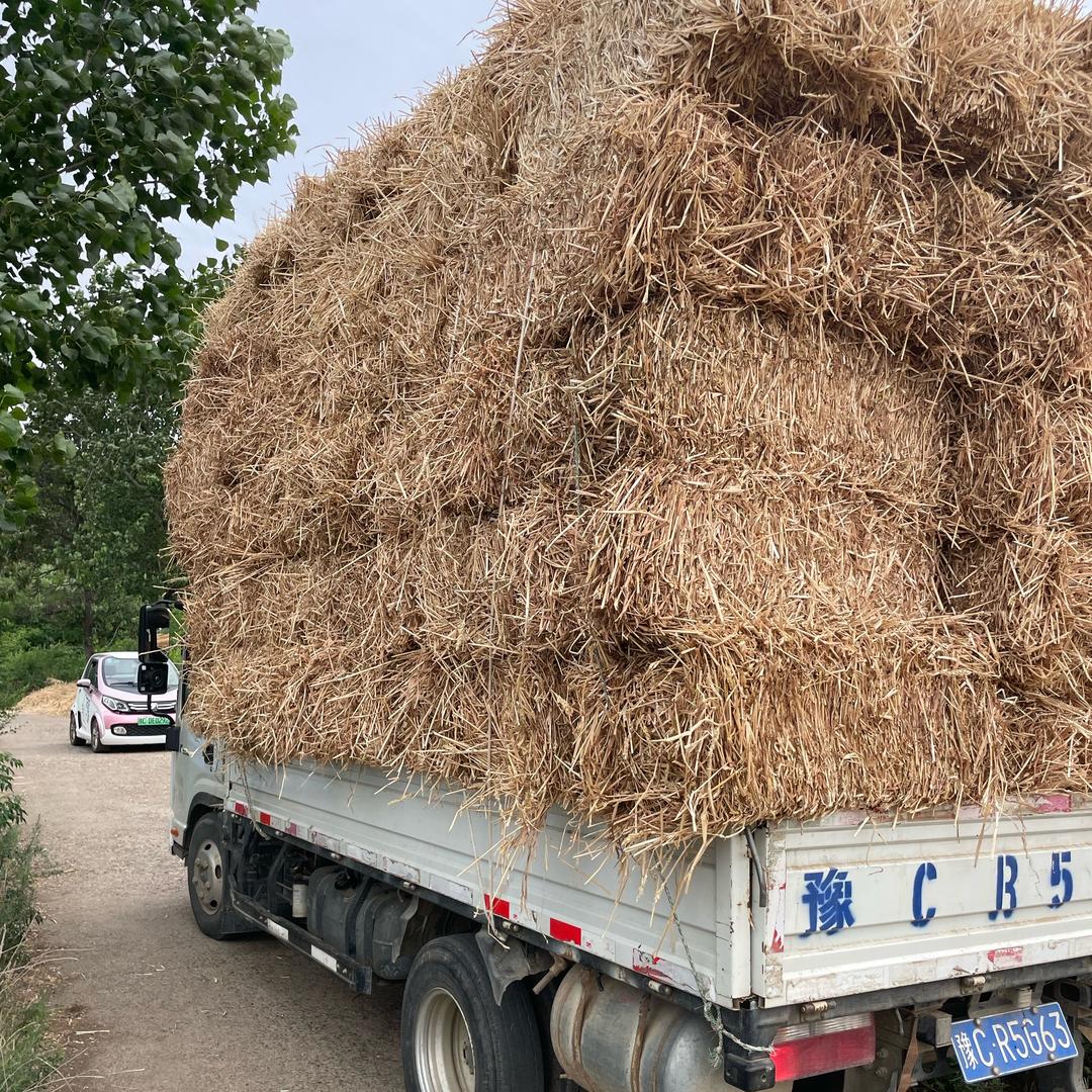 涧河卖草那哇子