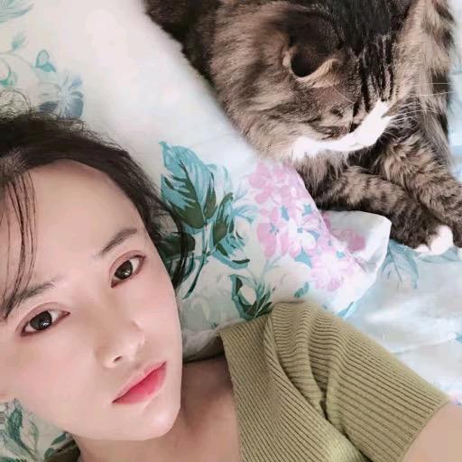 fairy和小猫