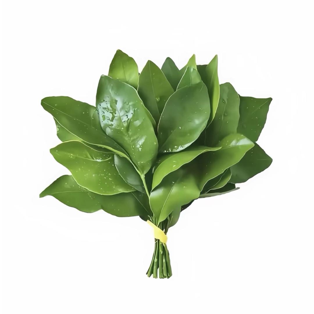 菠萝📷📹🎞️