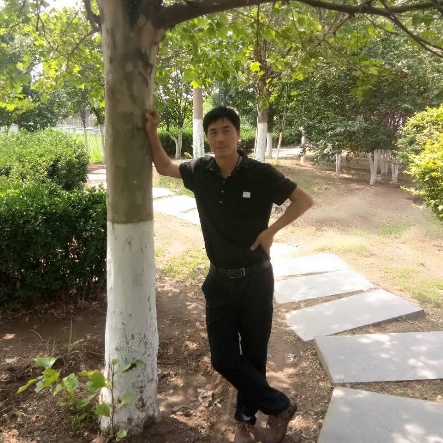 锦州小强鸟粮批发