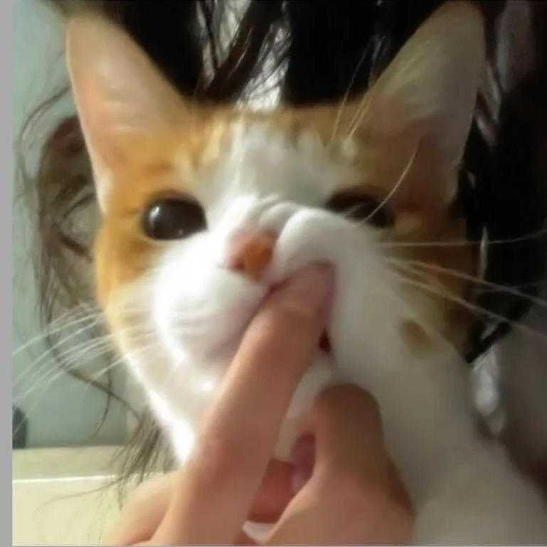 一只羊_