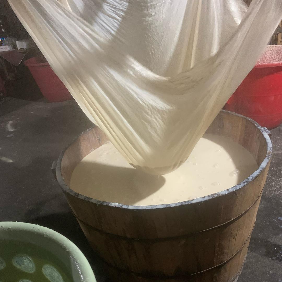 沧海一生肖