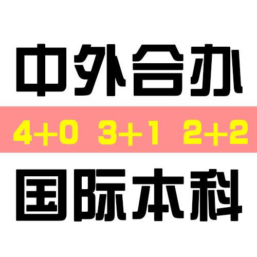 国际本科升学规划