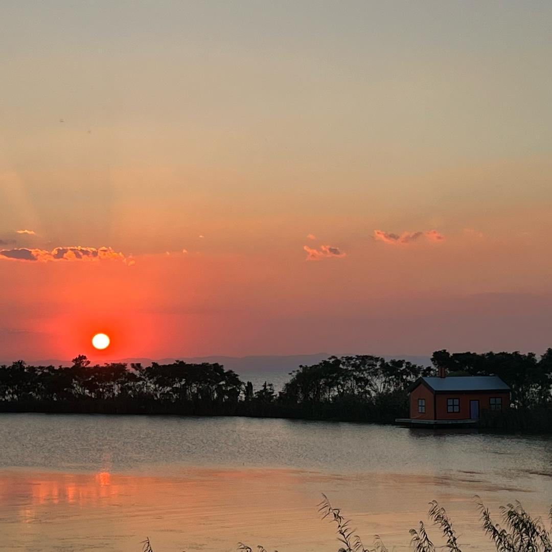🚚💥💥💥💥 阡陌暖春花开落