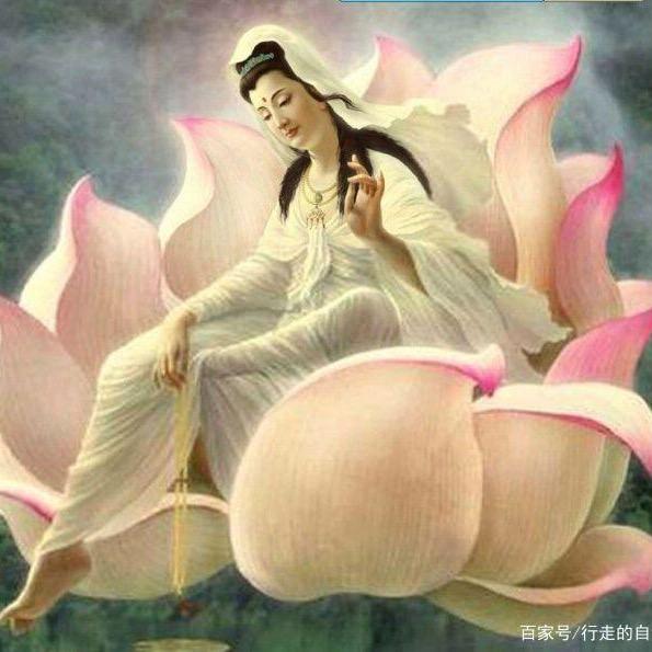 梦尘老师