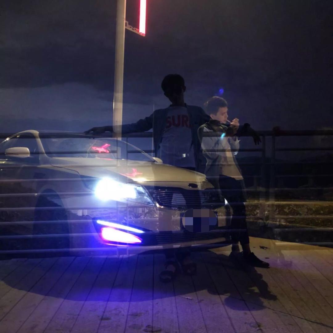 洋洋姓羊
