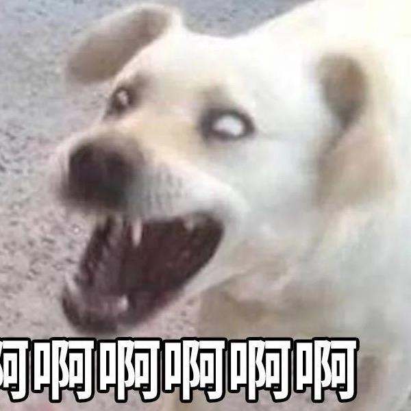 点亮一大片