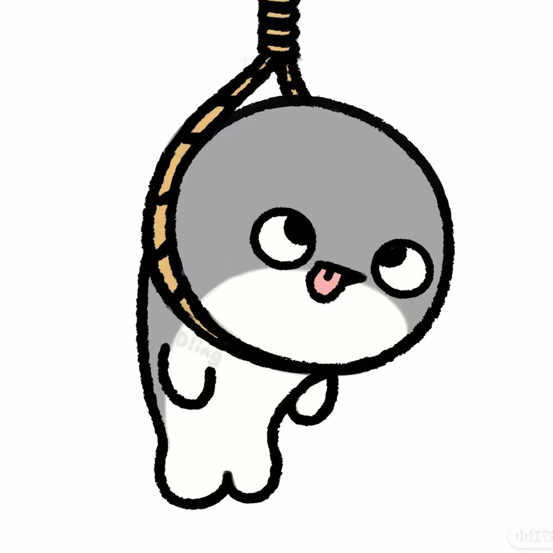 小鱼