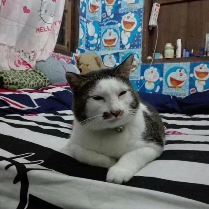 无厘头鸠芝麻糊