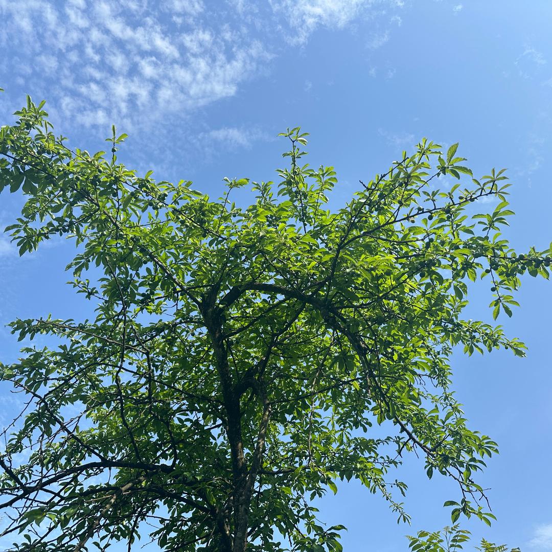 朝前走