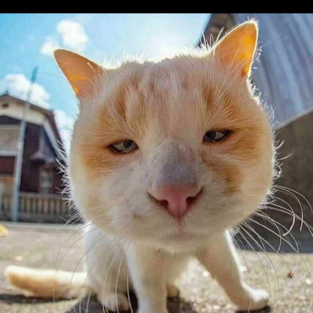 曾经（电摩进藏中）