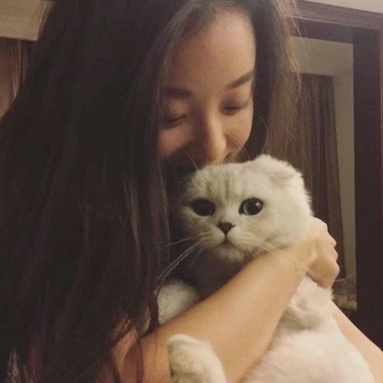 iu小y