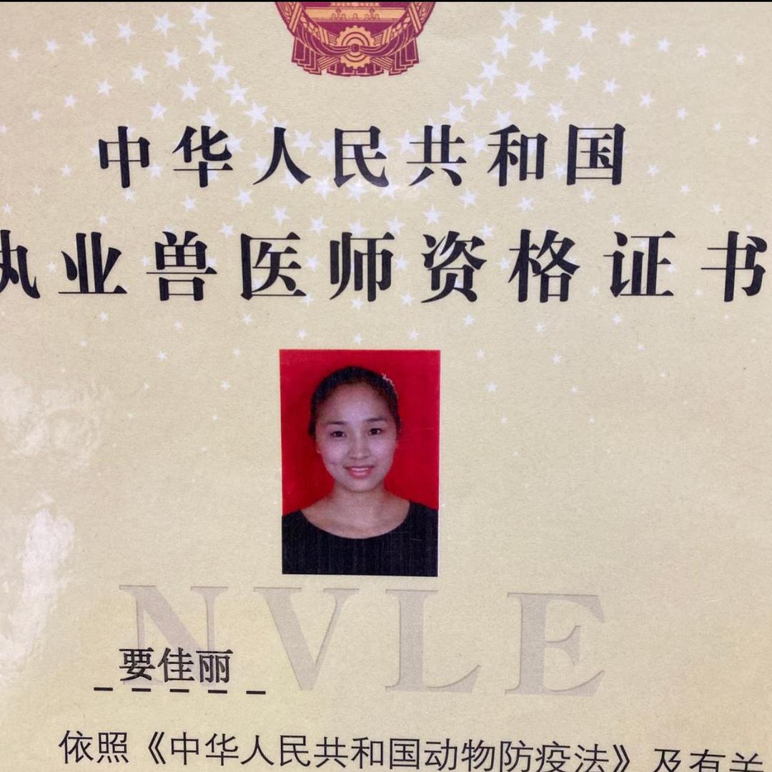 佳丽讲猪事