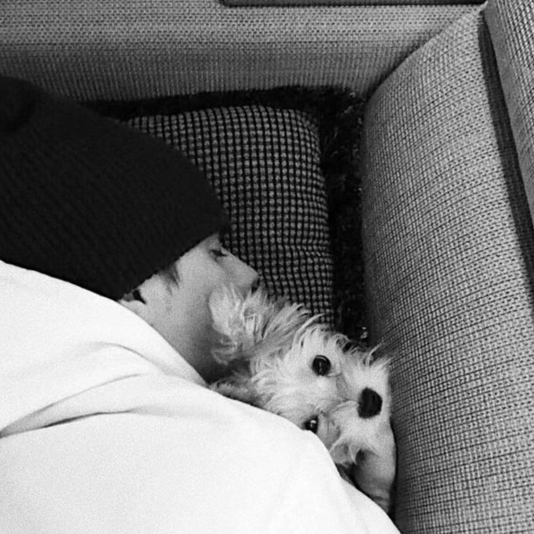 我敲世界怎么这么坏