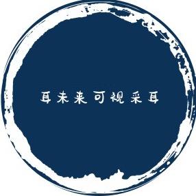 耳未来可视采耳（贵池路店）
