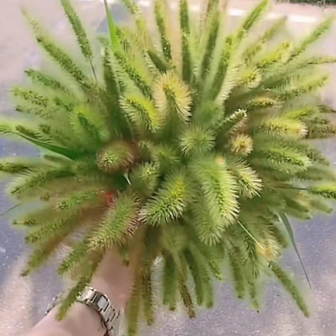 简单 幸福