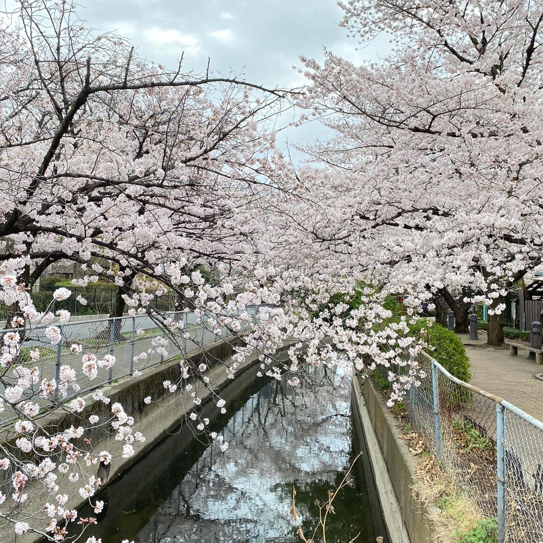大邱一家在日本