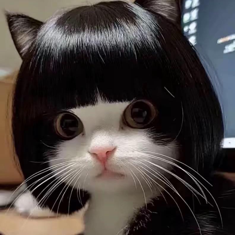 🧙鱼鱼大仙