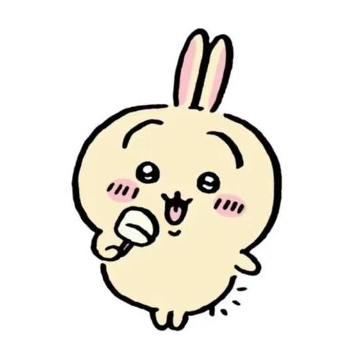 桂圆爽