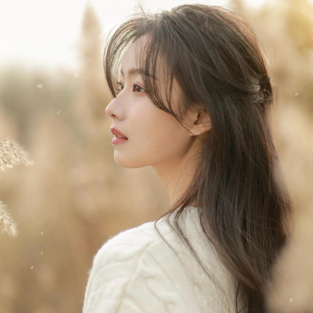 家用烘培蛋糕粉