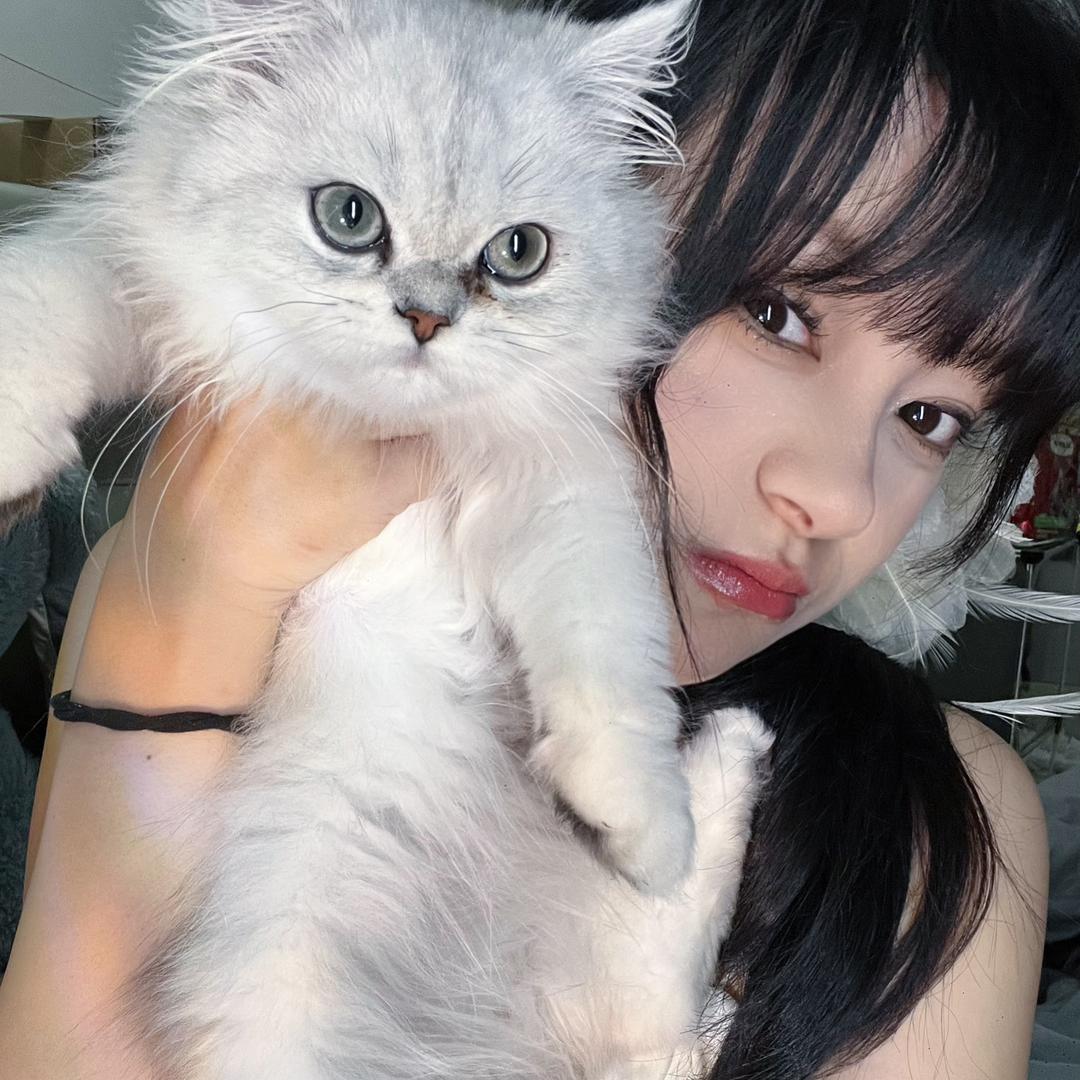 来生WNFA-田心拆卡