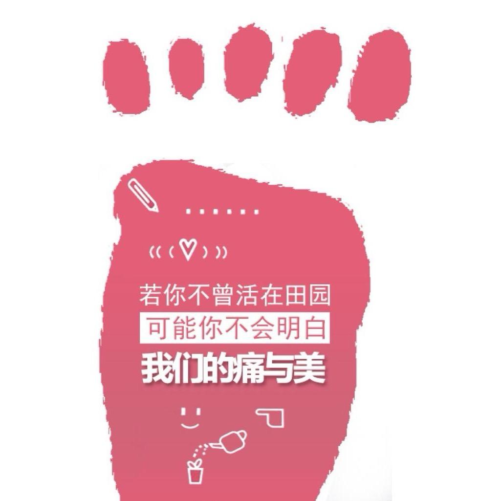 广西小丁荔浦芋头荔浦马蹄红芽芋小奶芋供应
