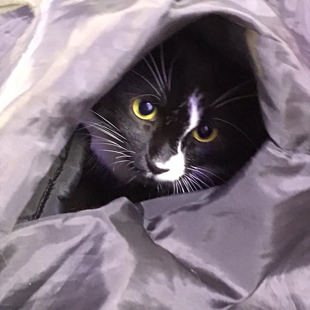 事后一碗饭