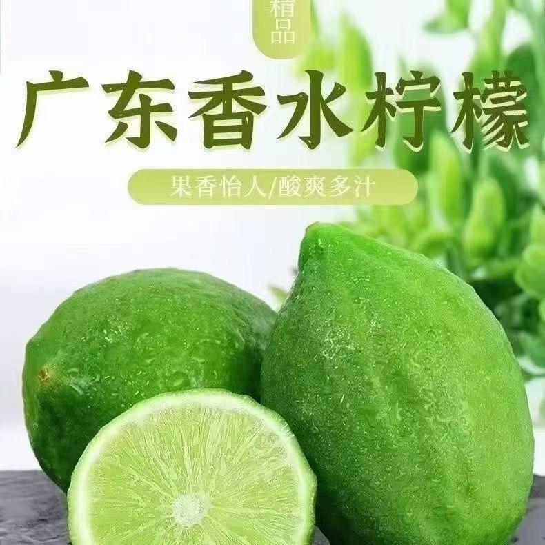 国宝