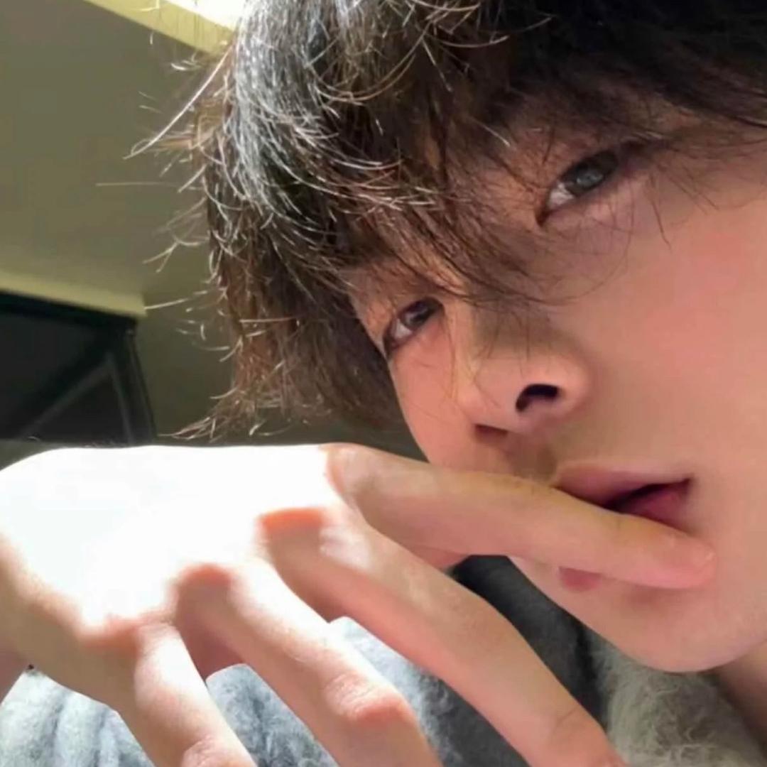 呆呆小狗.