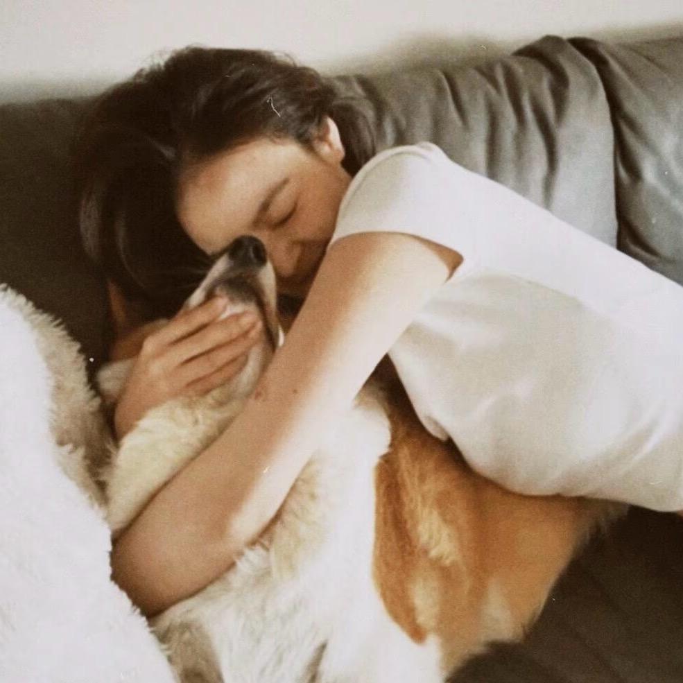 𝓓𝓮𝓼𝓮𝓻𝓿𝓮