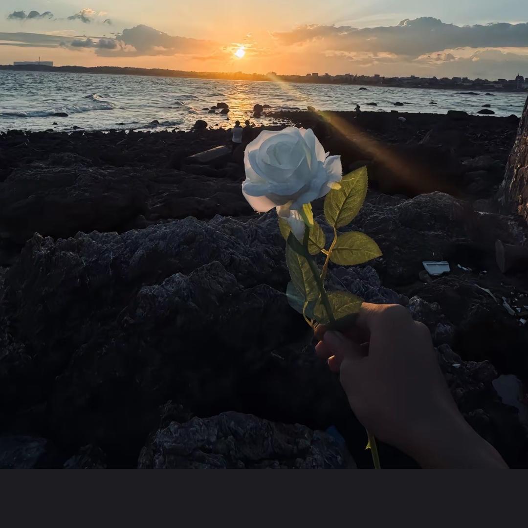 山海¥