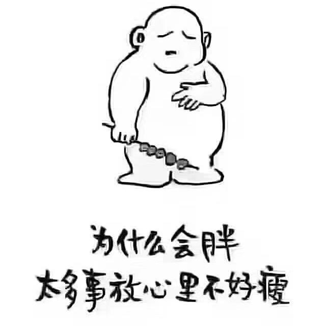 吹风的熊
