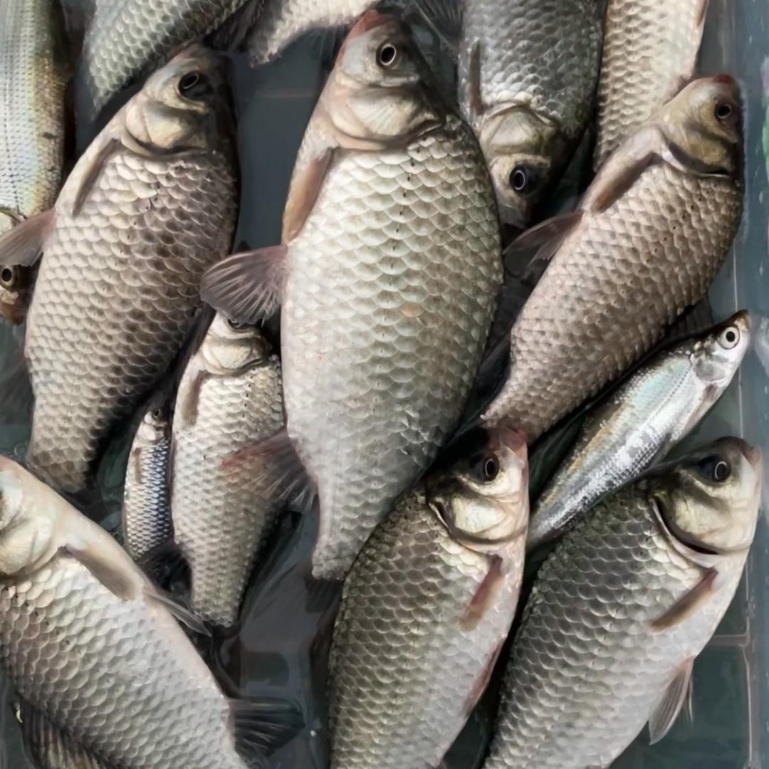 🎣悠钓时光