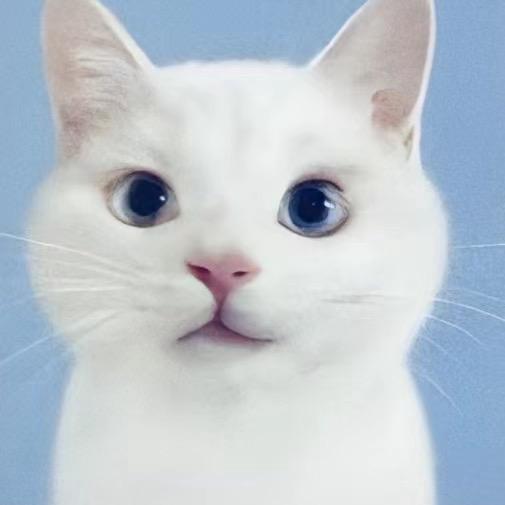 咩咩