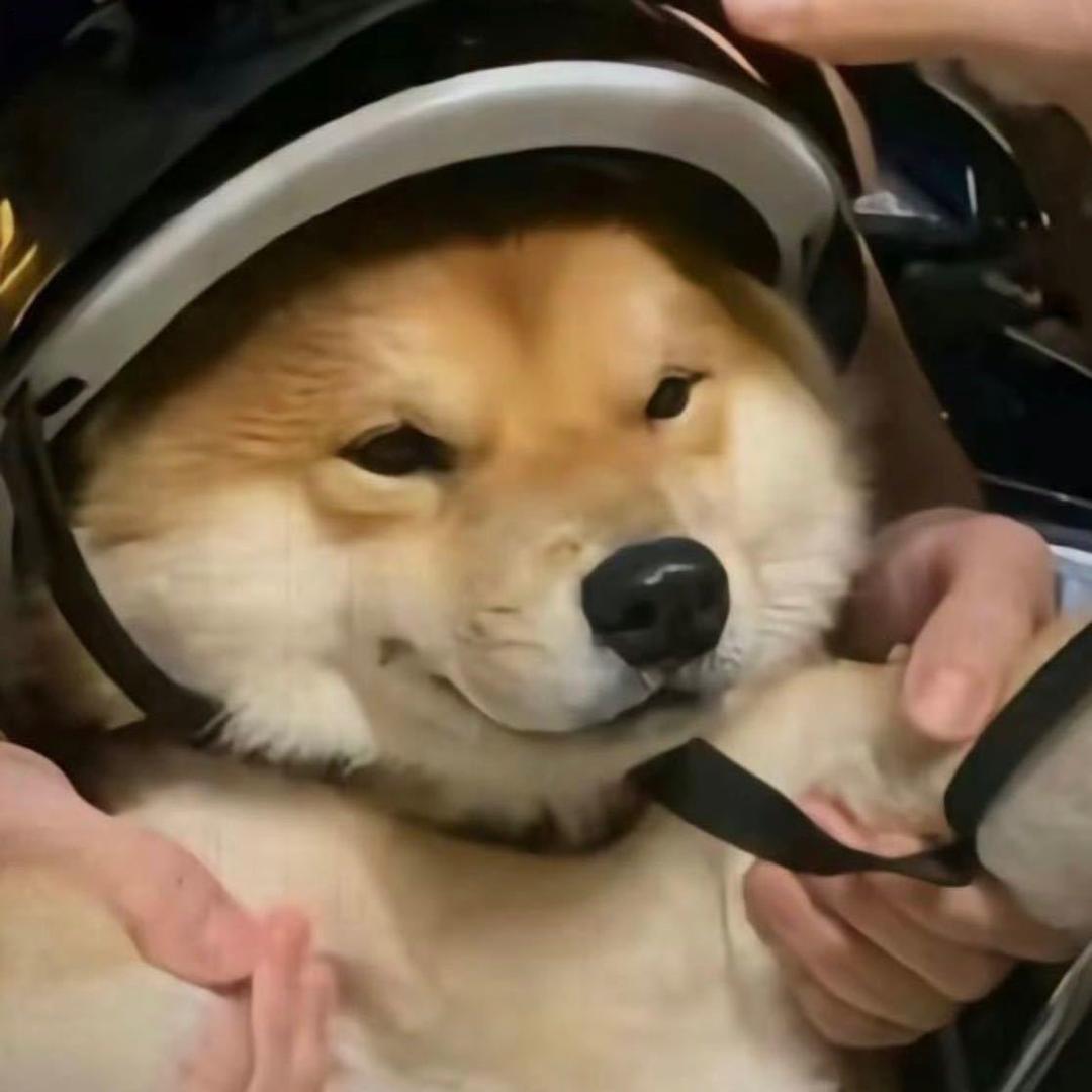 DR1