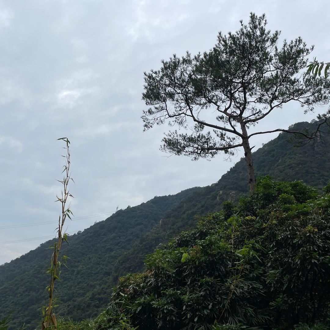 一起比耶
