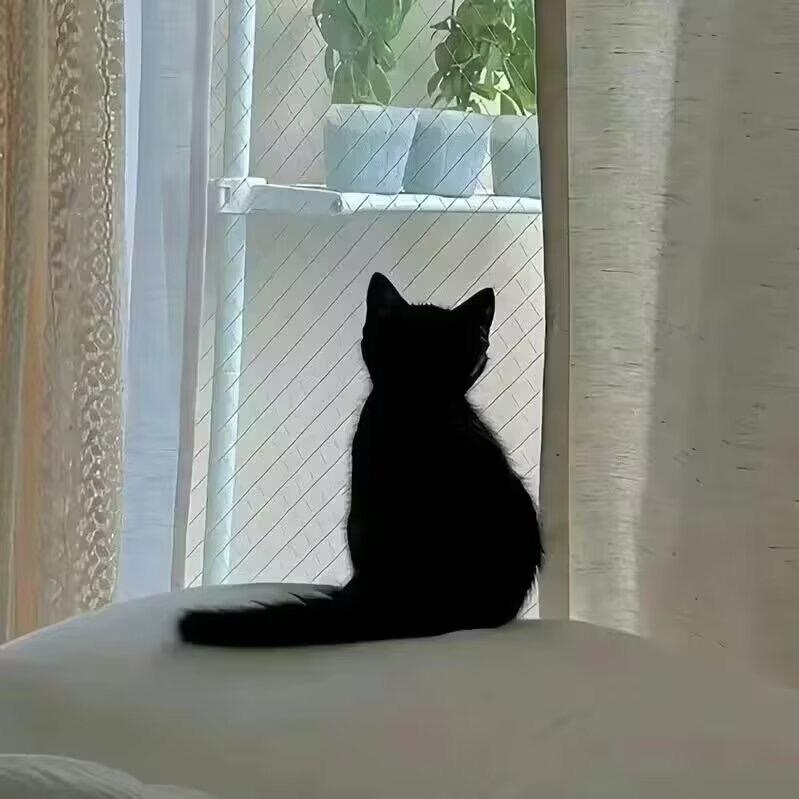 CaCa.