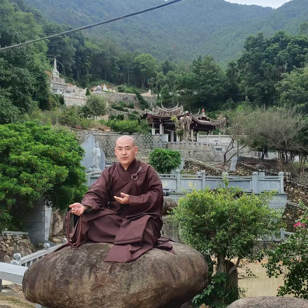 老顽童黄花梨