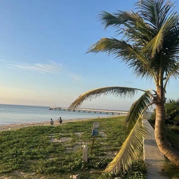 红红火火健健康康