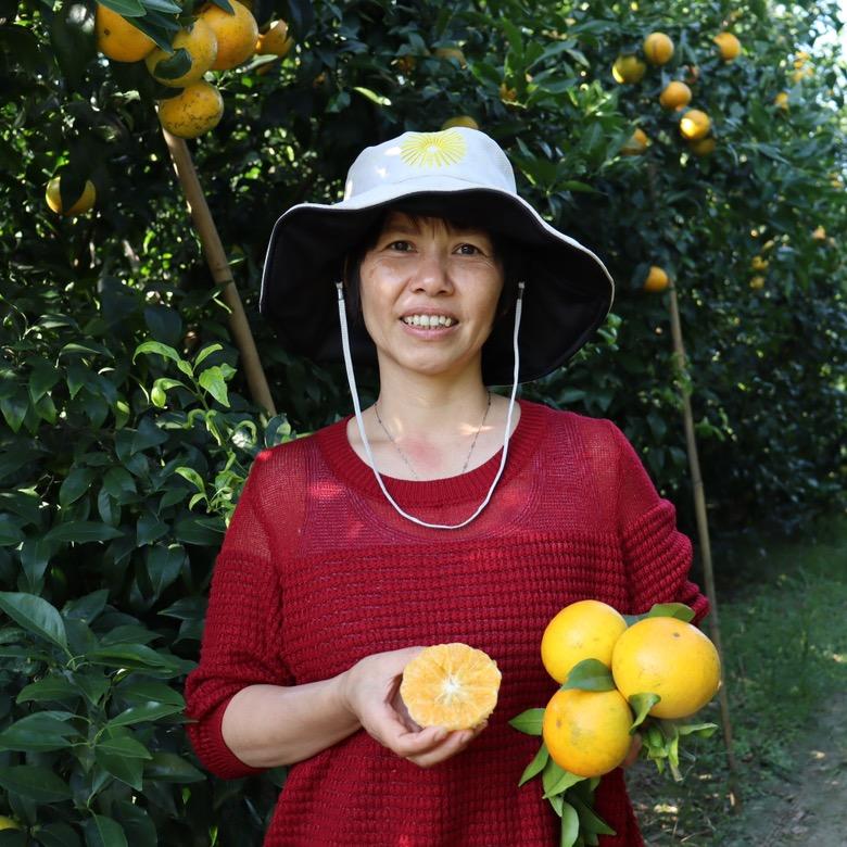 桂园甜精选水果