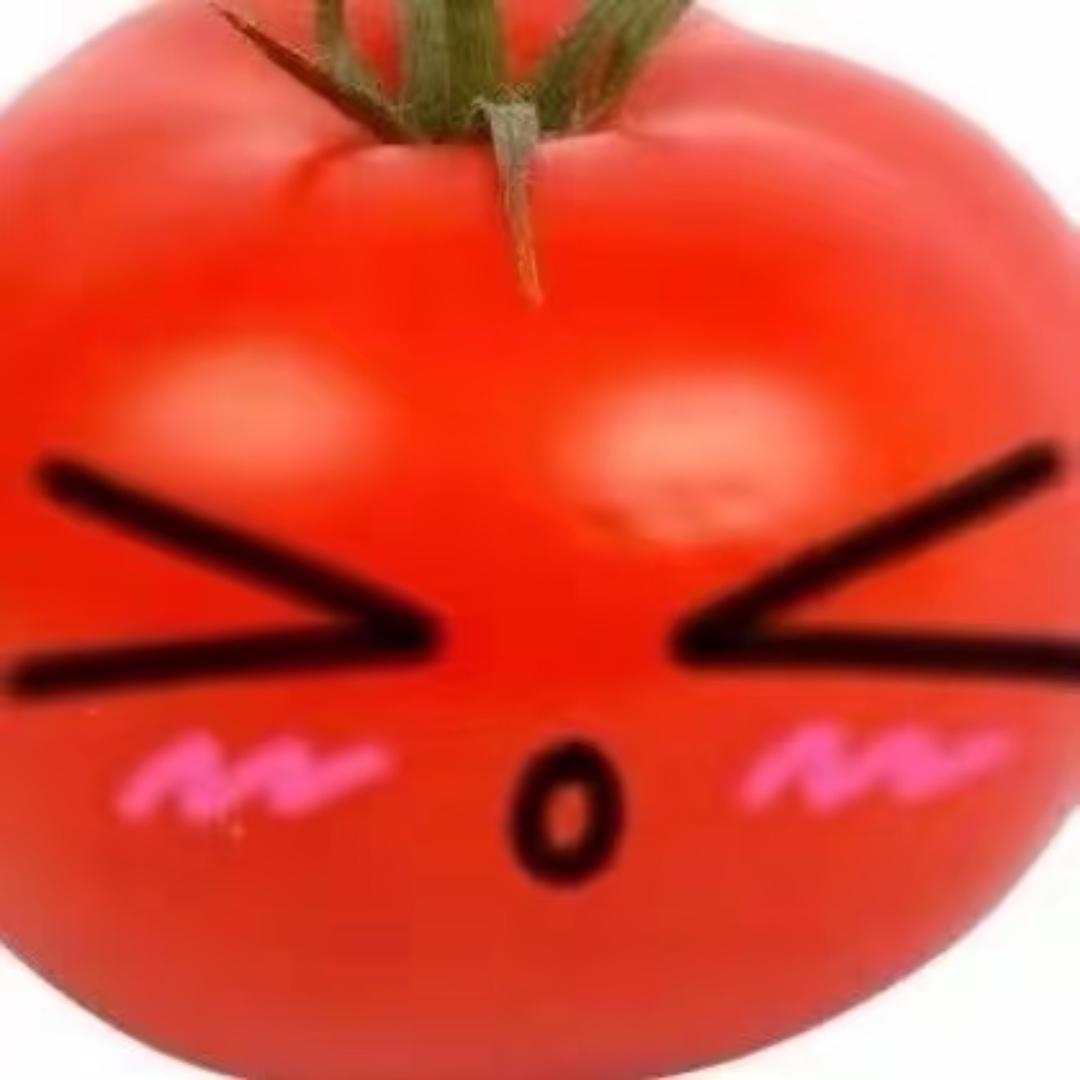 西红柿