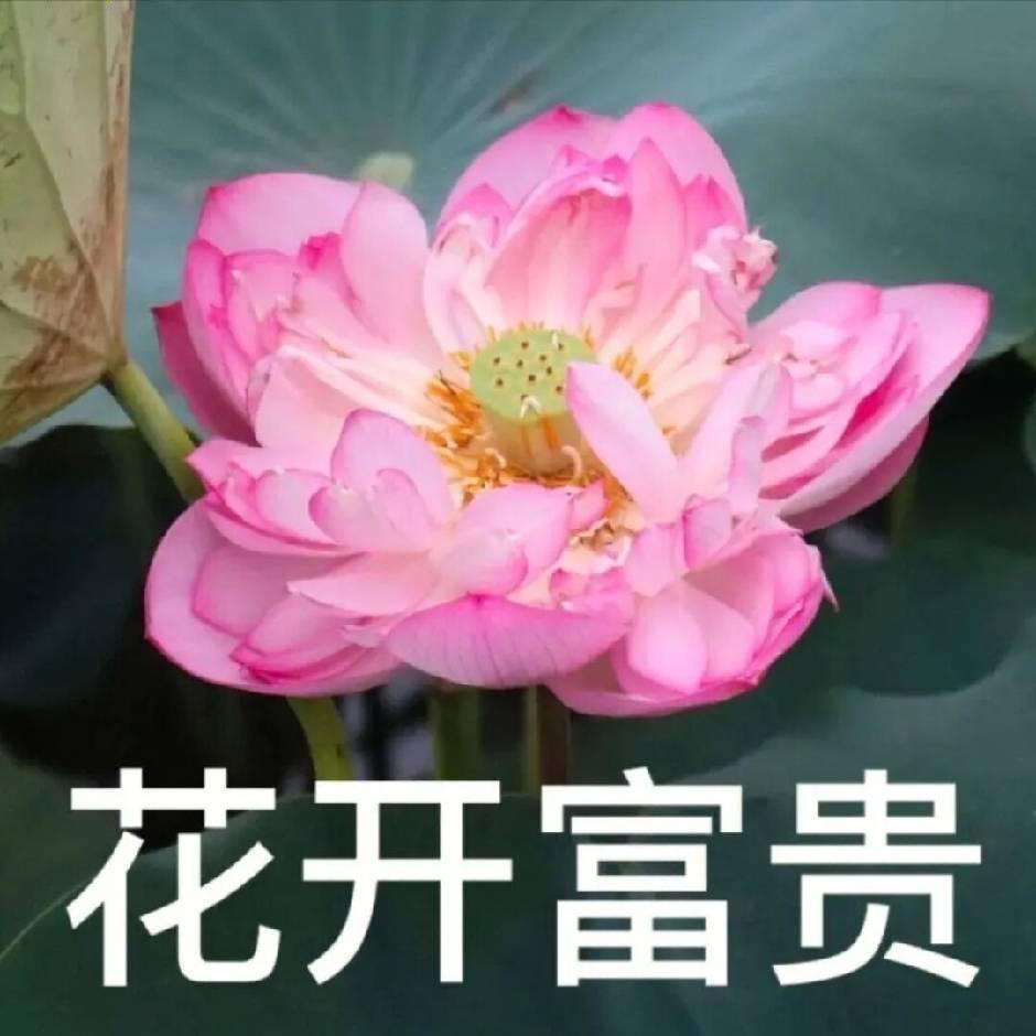 呜呜呜呜呜呜呜呜呜呜呜呜呜呜