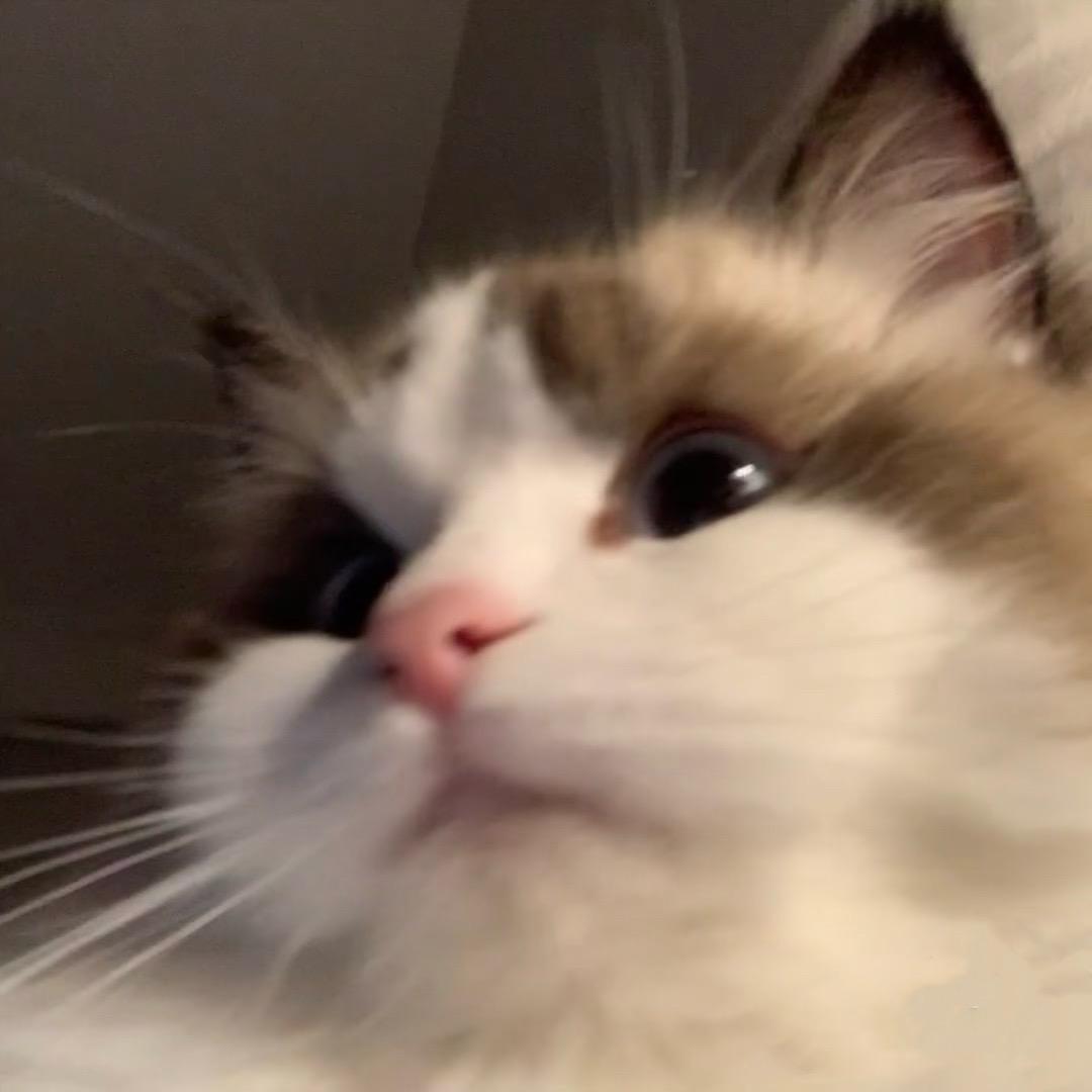 呼叫小y
