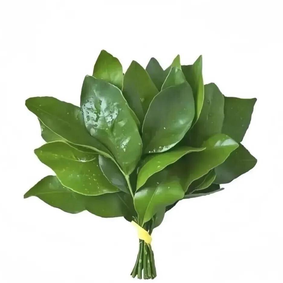 语馨