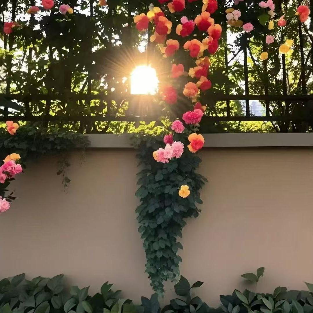 识界云公考小助手