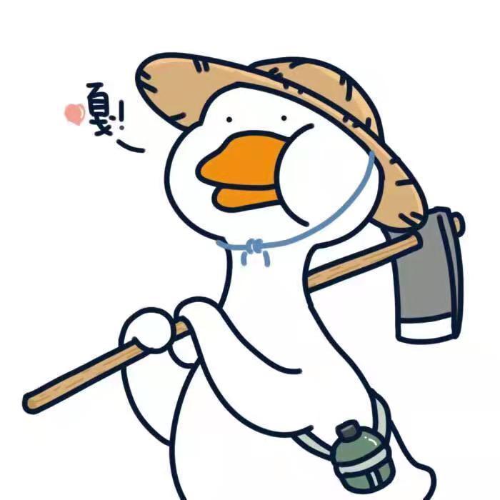 科科随走随拍
