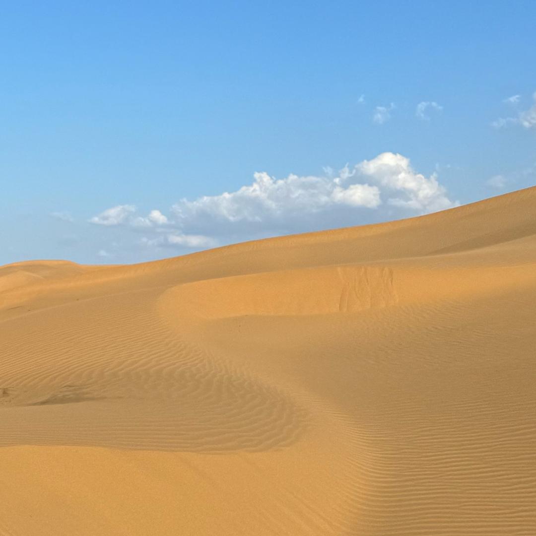 Sahara